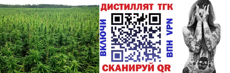 где можно купить   Светлый  ТГК THC oil 